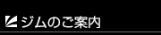 �W���̂��ē�
