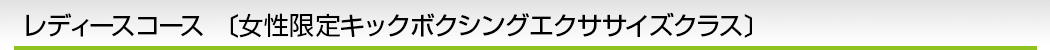 レディースコース 〔女性限定キックボクシングエクササイズクラス〕