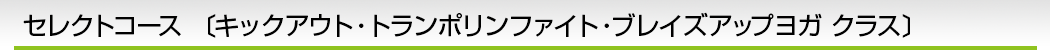 セレクトコース 〔キックアウト・トランポリンファイト・ブレイズアップヨガ クラス〕